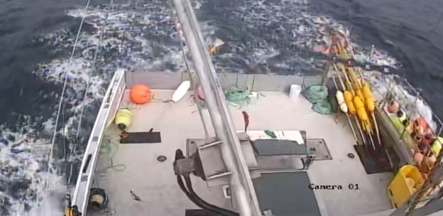 electronic monitoring trials with swordfish harpoon fleet